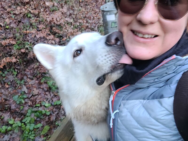 Hundesitting, Spaziergänger